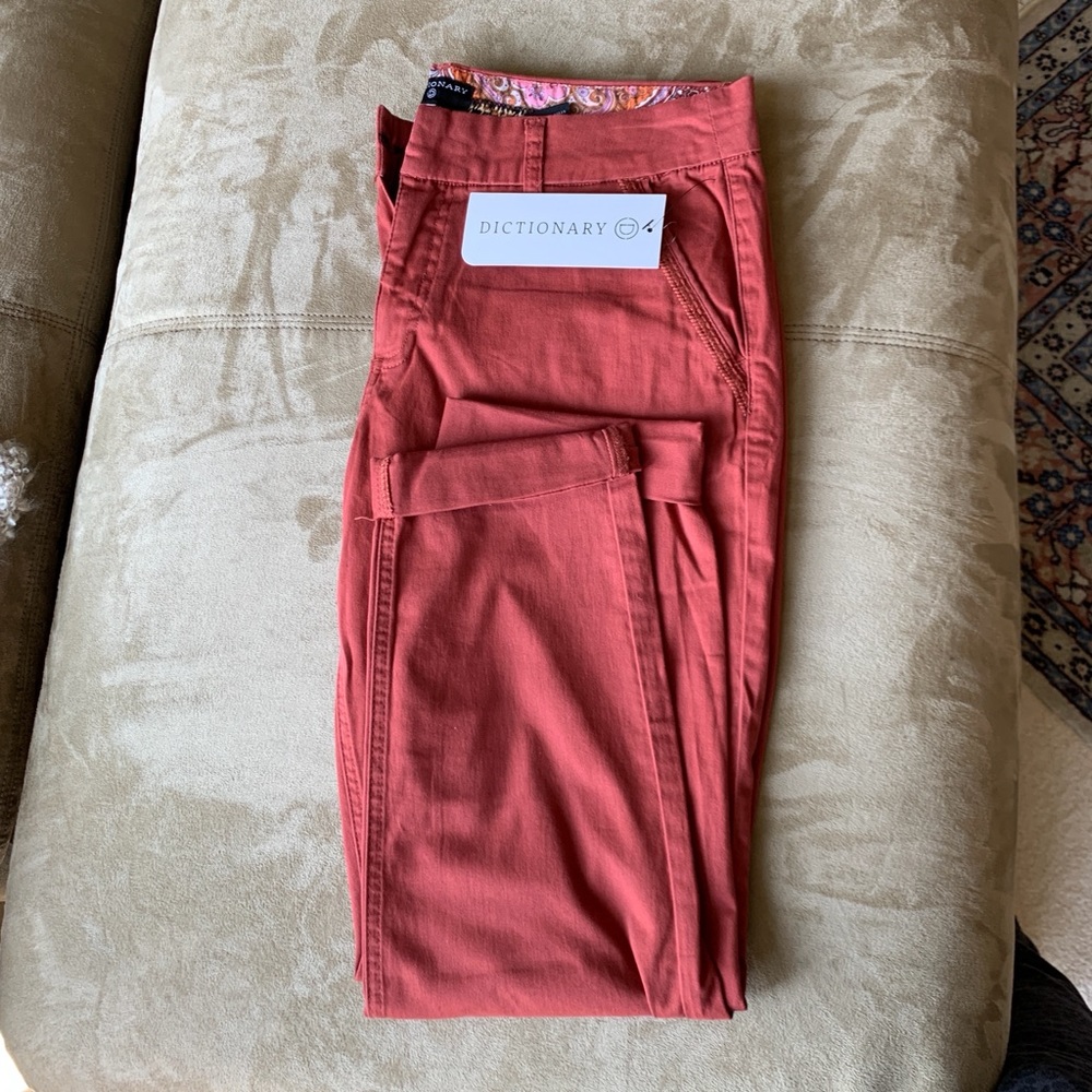 Rust colored pants by Dictionary - size 12